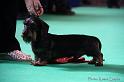 Crufts2011_2 814